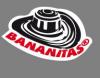 Bananitas S.A.S - Empresa dedicada a la comercialización de “snacks” a base de plátano verde en Colombia.